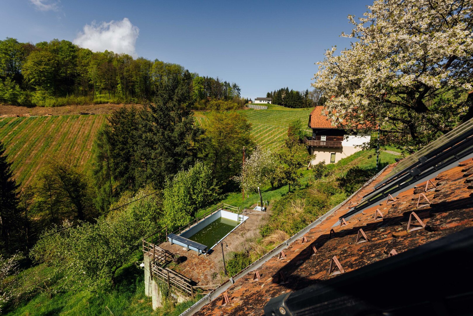 Immobilienfoto