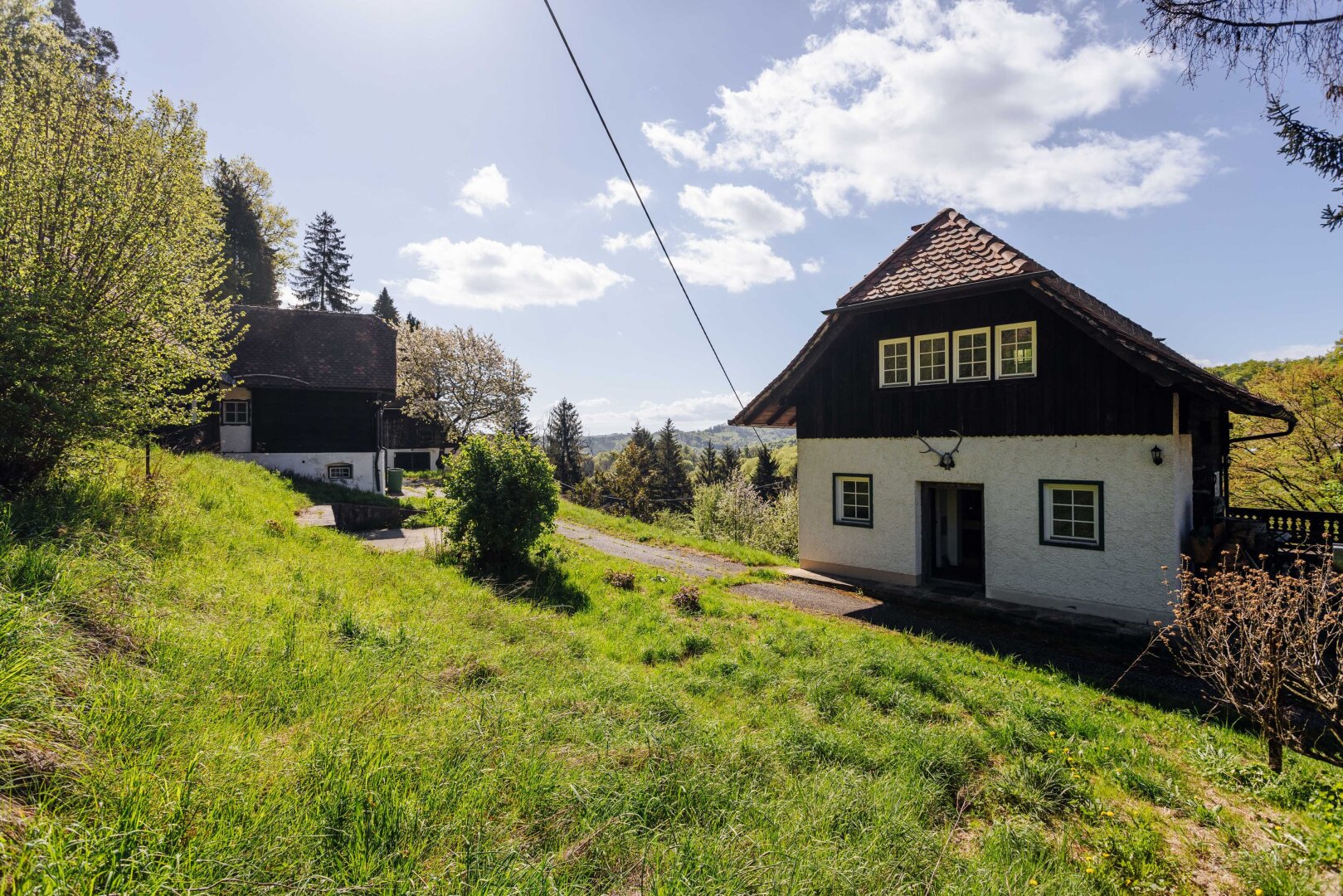 Immobilienfoto