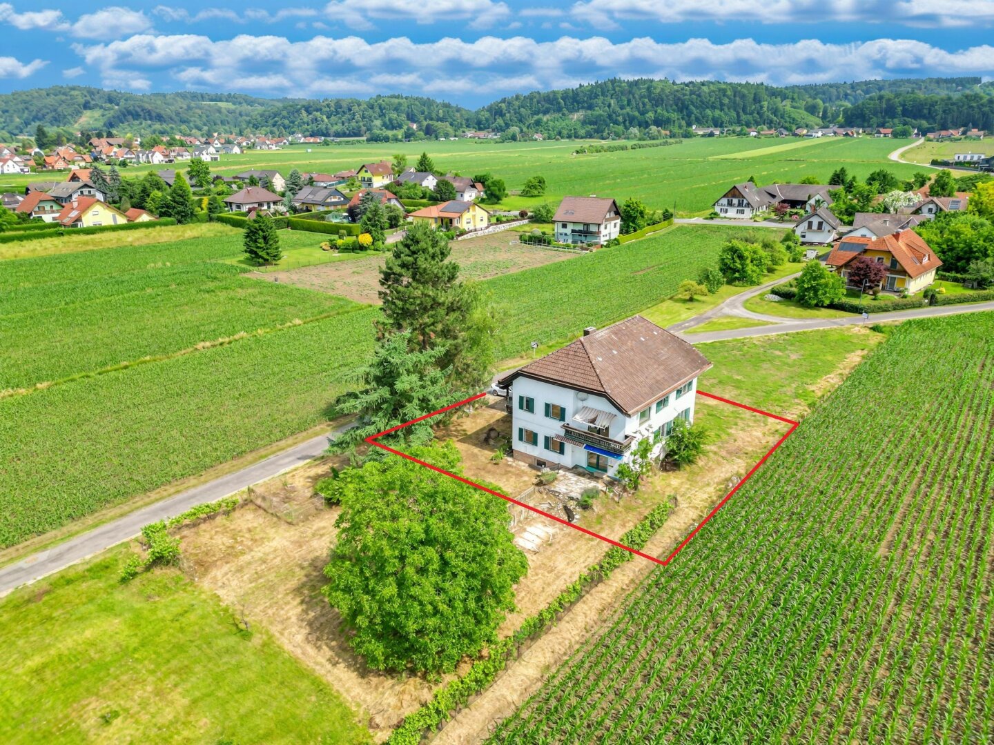Immobilienfoto