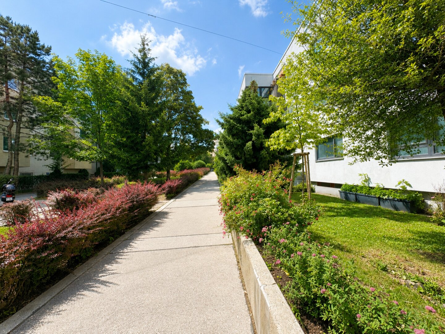 Immobilienfoto