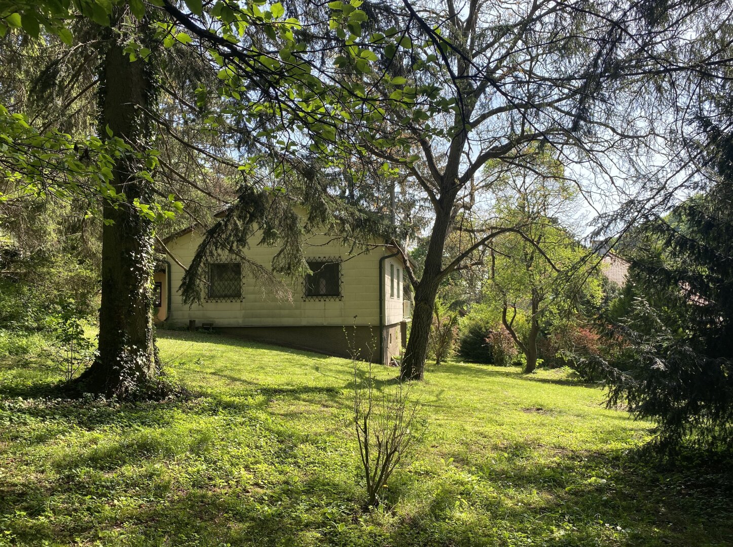 Immobilienfoto