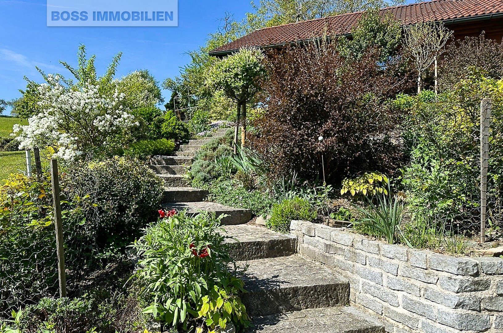 Immobilienfoto