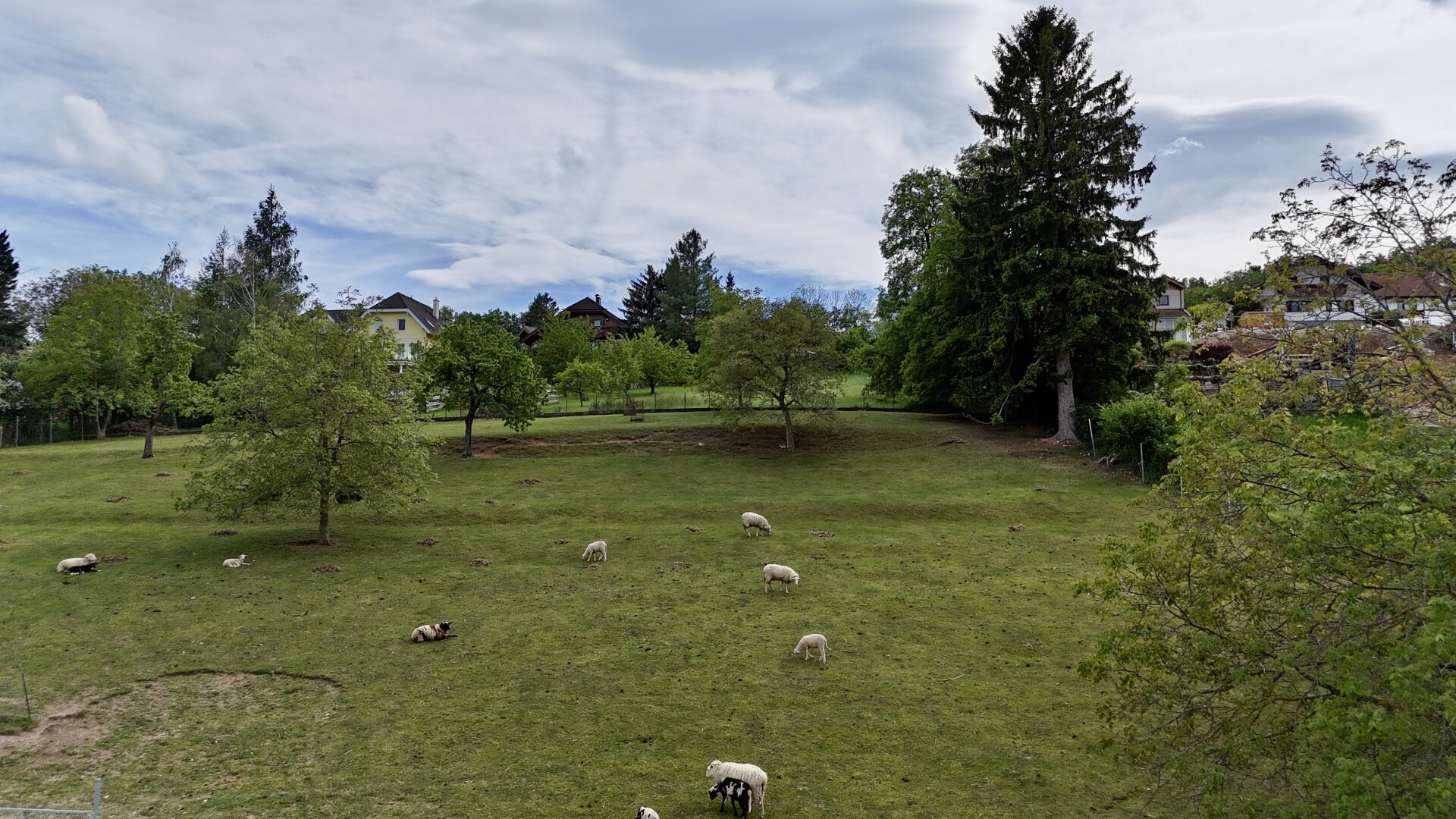 Immobilienfoto