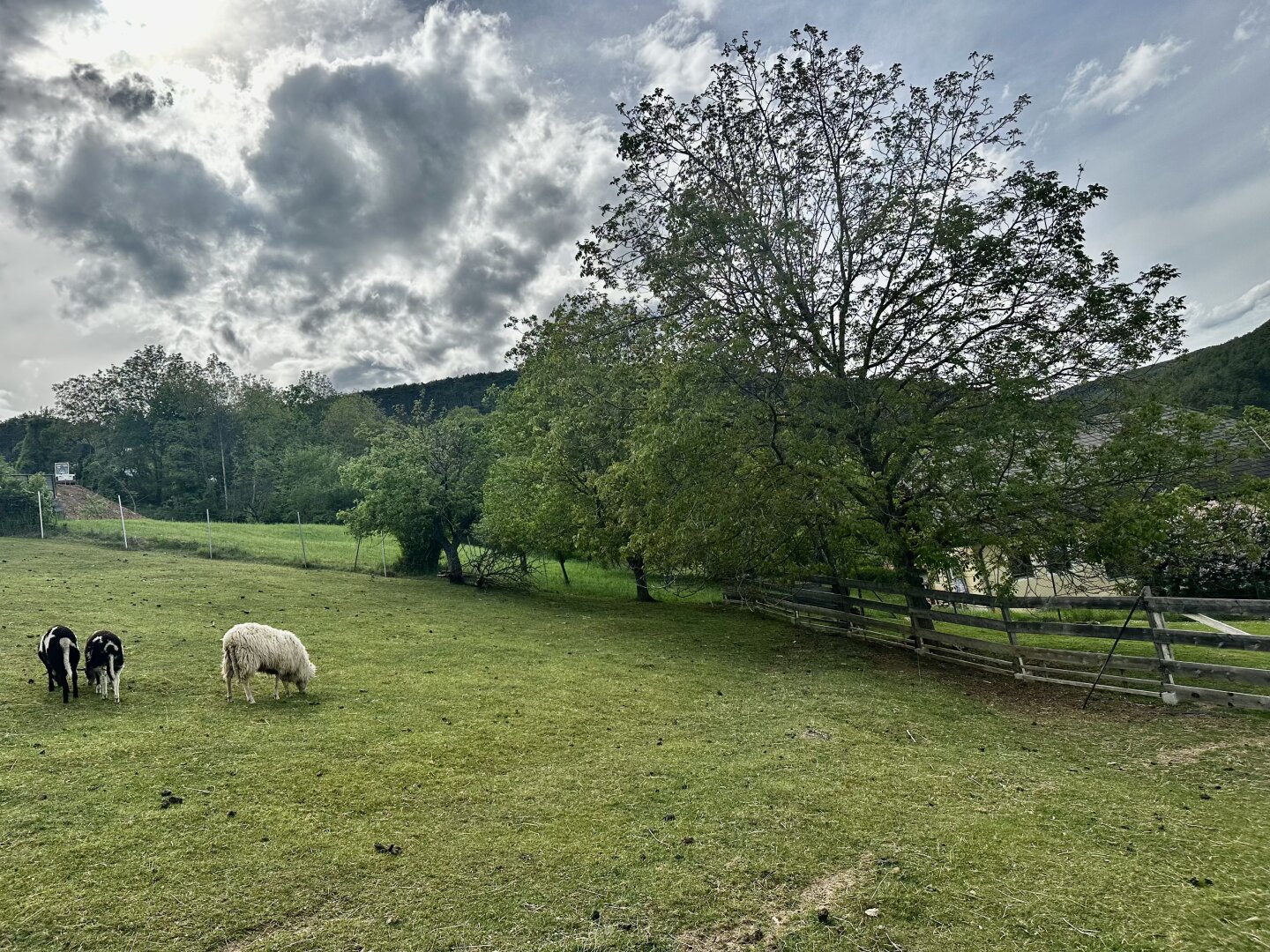 Immobilienfoto