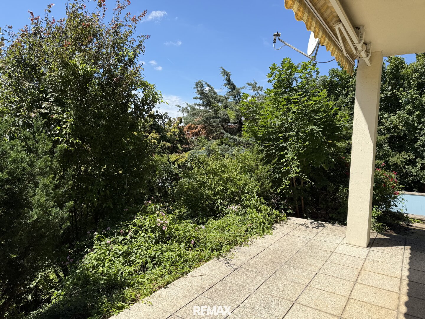 Immobilienfoto