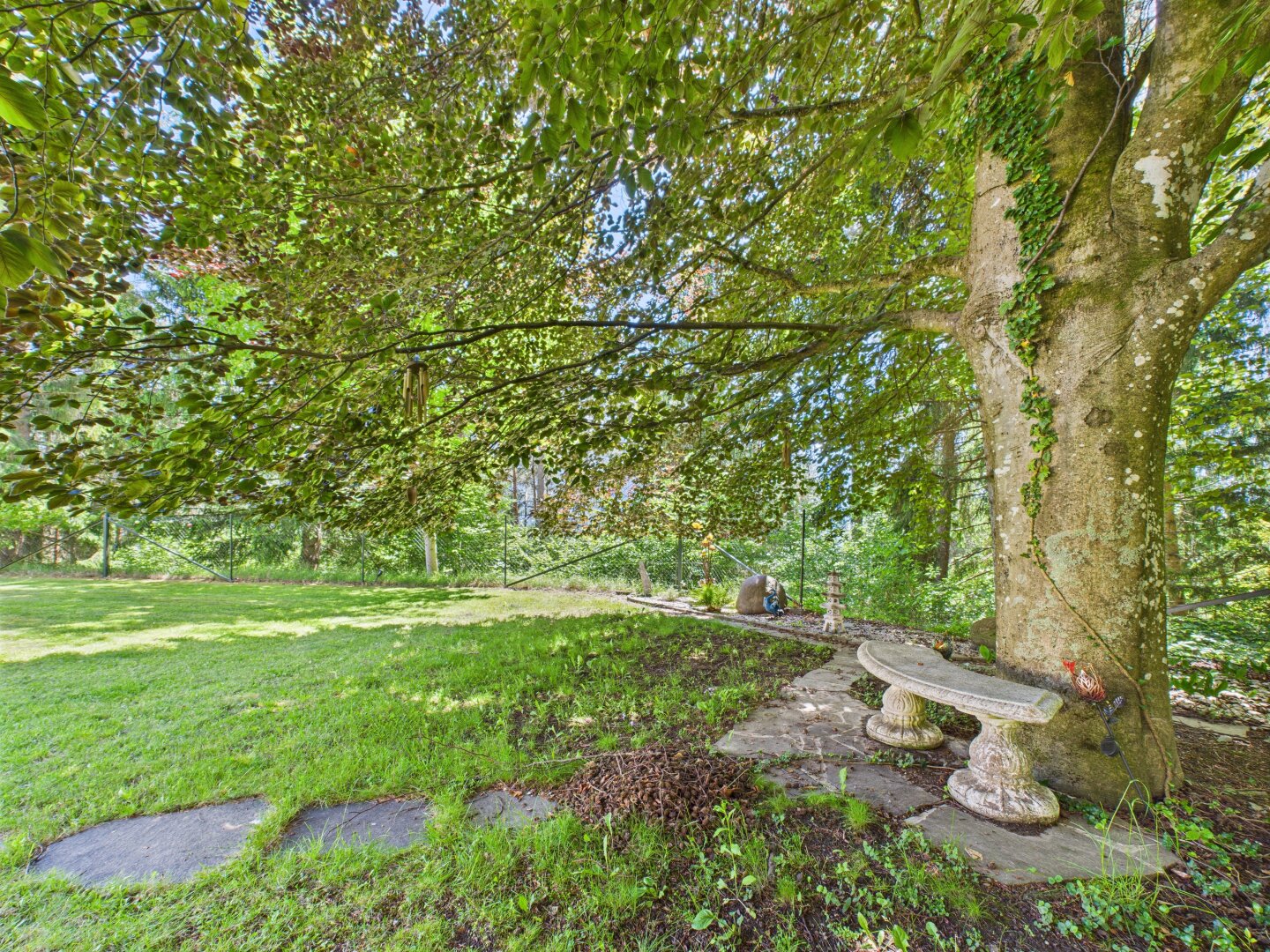 Immobilienfoto