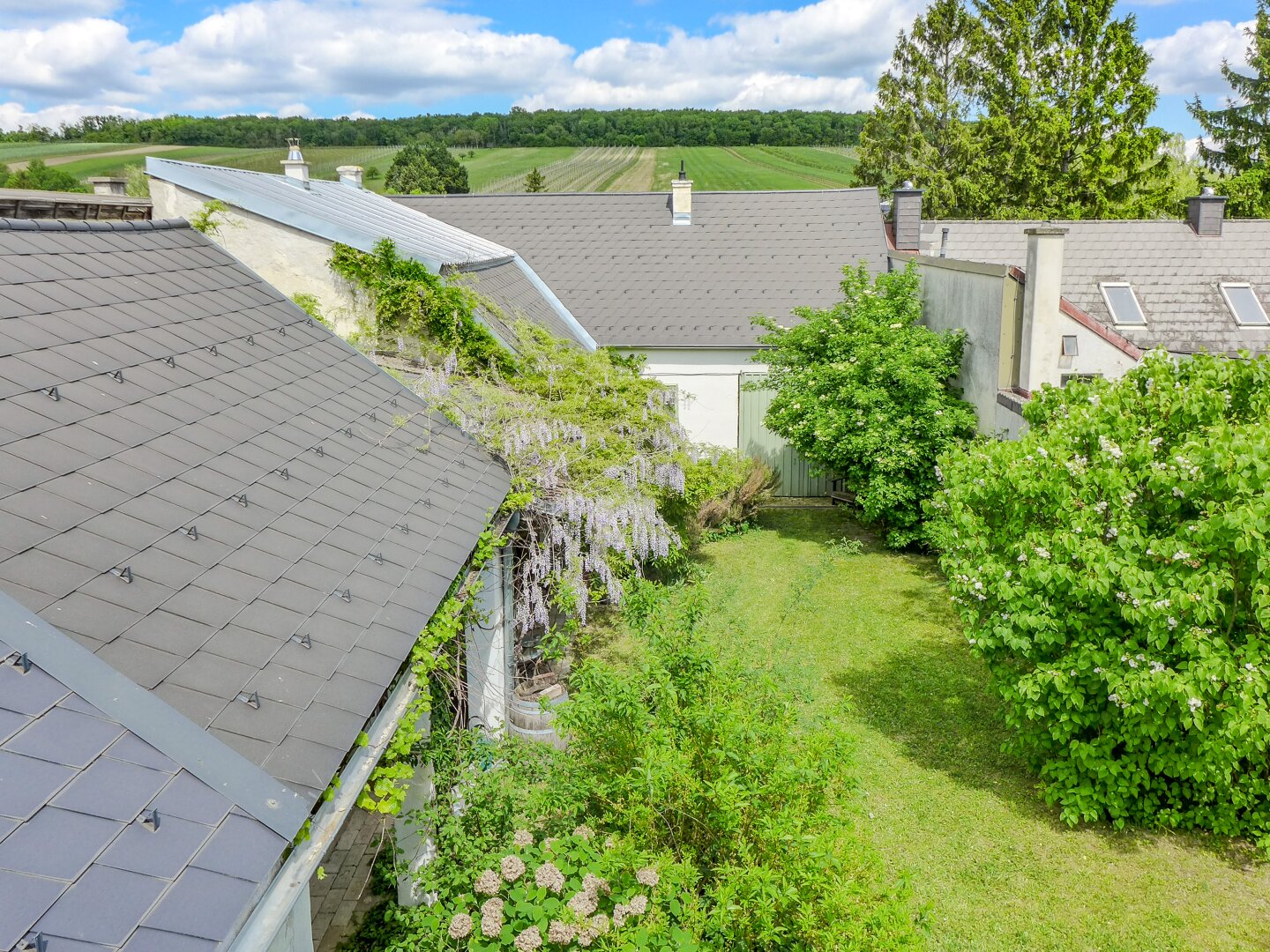 Immobilienfoto