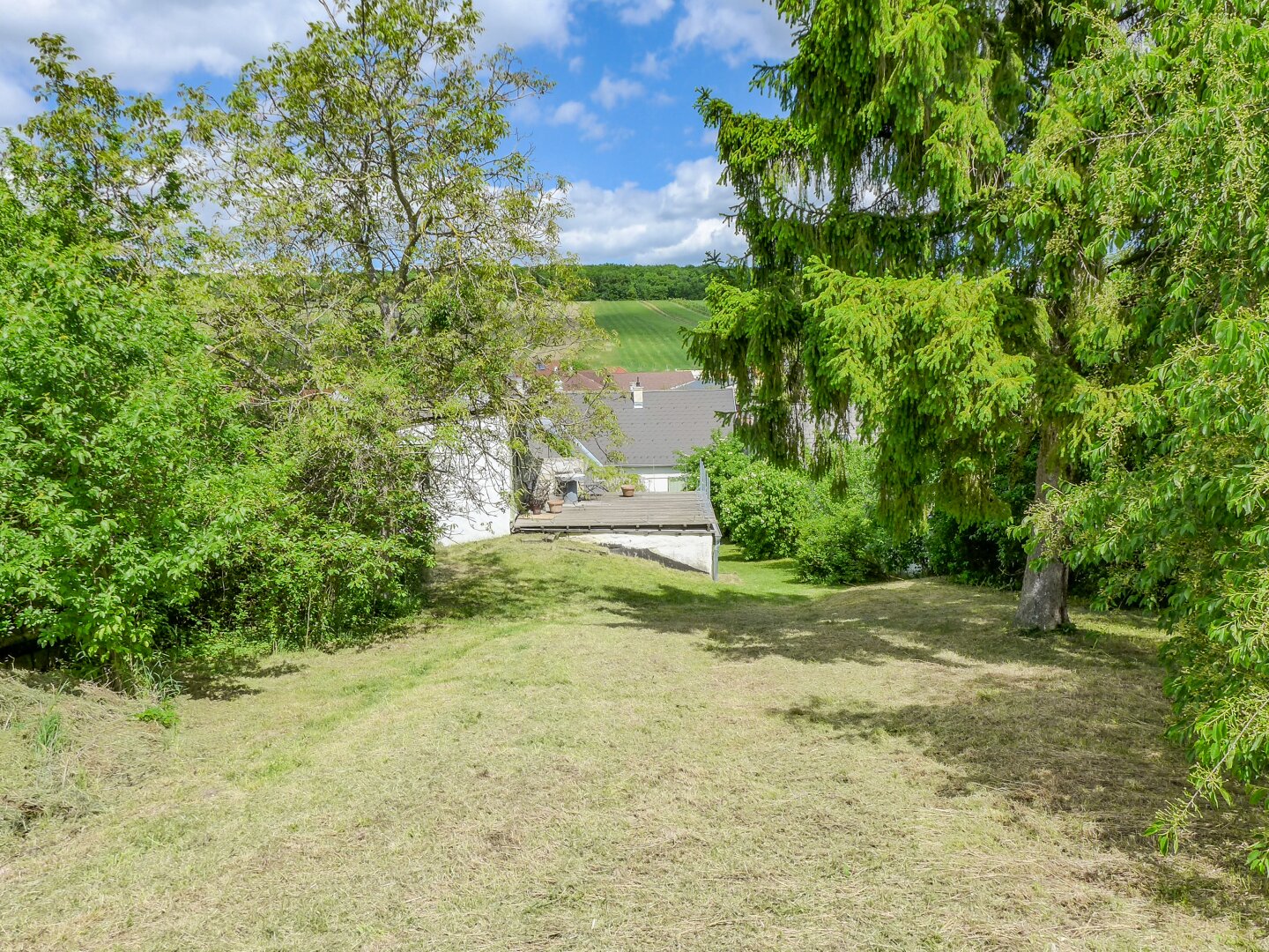Immobilienfoto