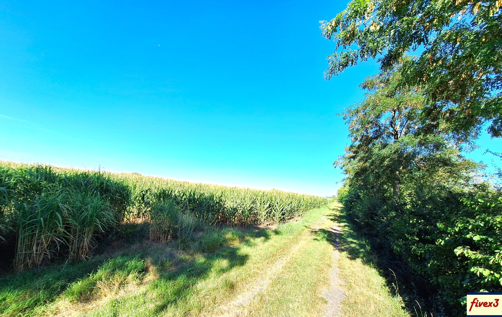 BIETERVERFAHREN - Acker ca. 1,7 ha in der Gemeinde Langenrohr - Nähe Rust im Tullnerfeld - zu kaufen