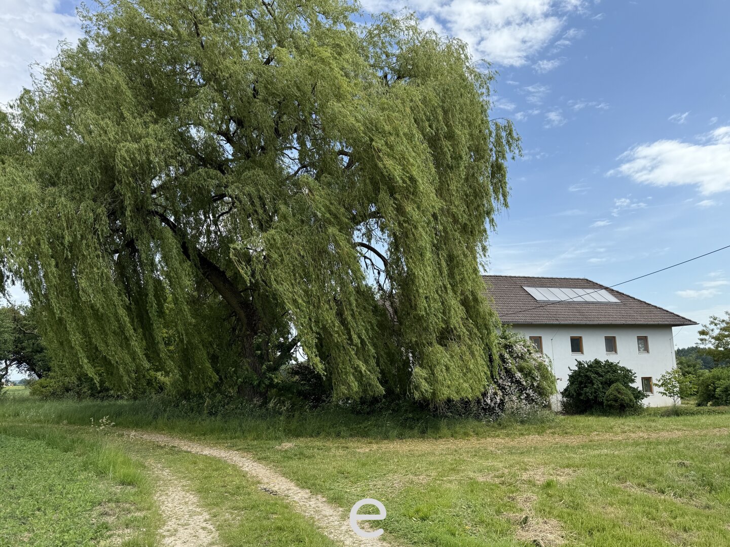 Immobilienfoto