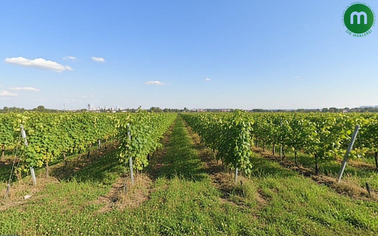 Reihenhaus auf Baurechtsgrund mit Blick auf Weingärten