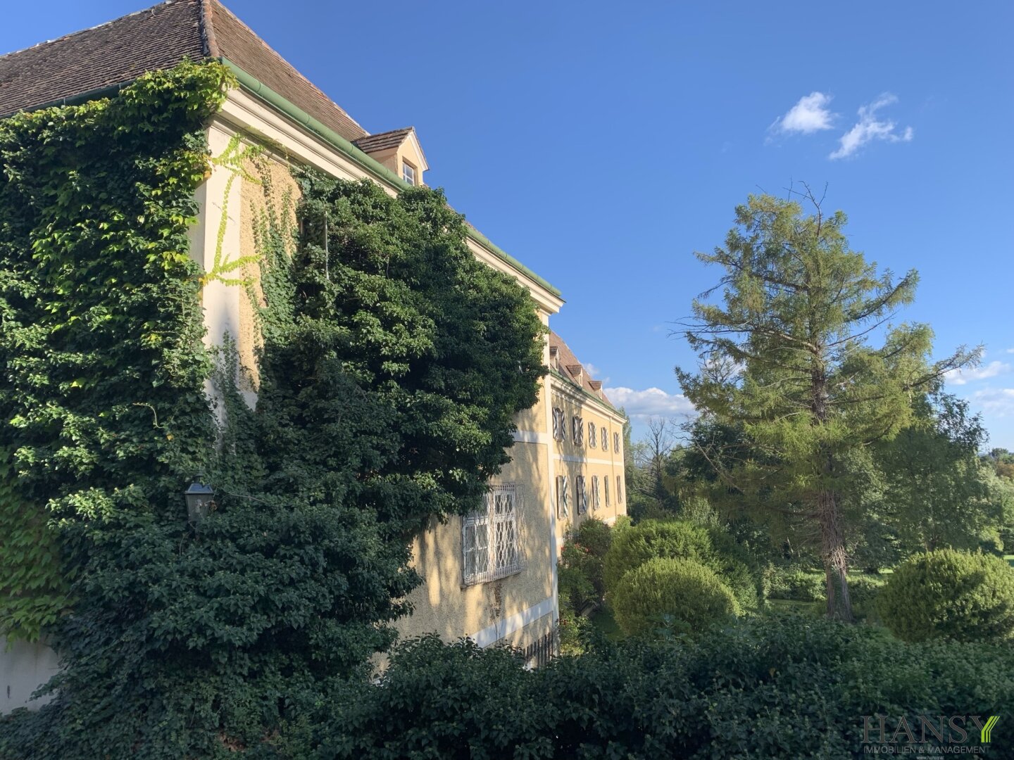 Immobilienfoto