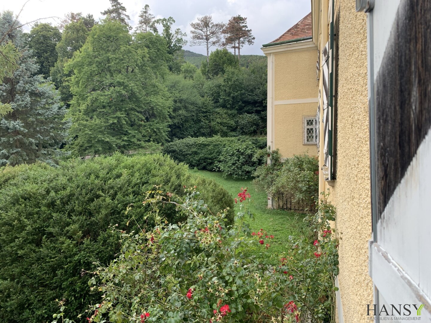 Immobilienfoto