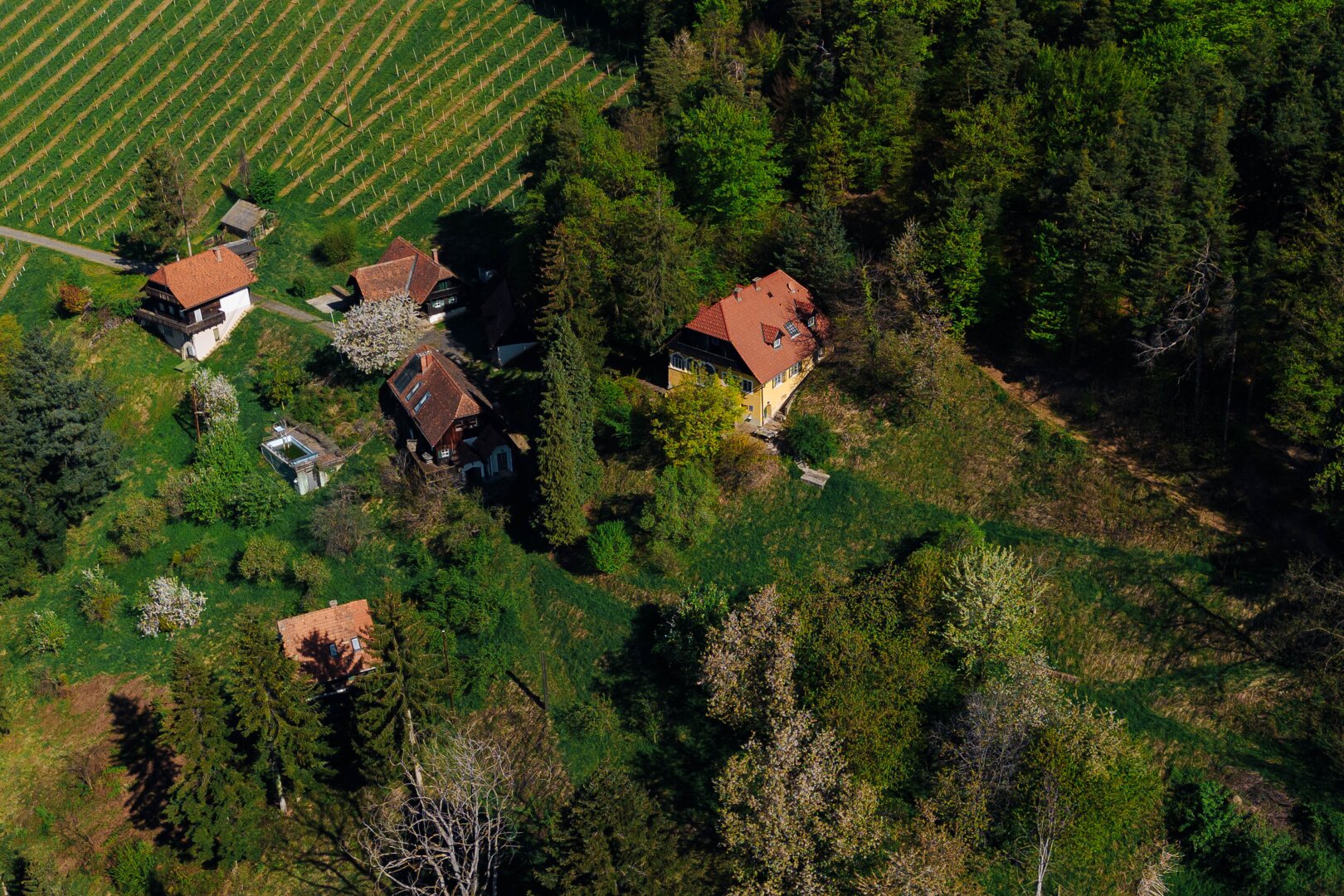Außergewöhnliche Liegenschaft im Weinparadies – Ihre Visionen werden Realität!