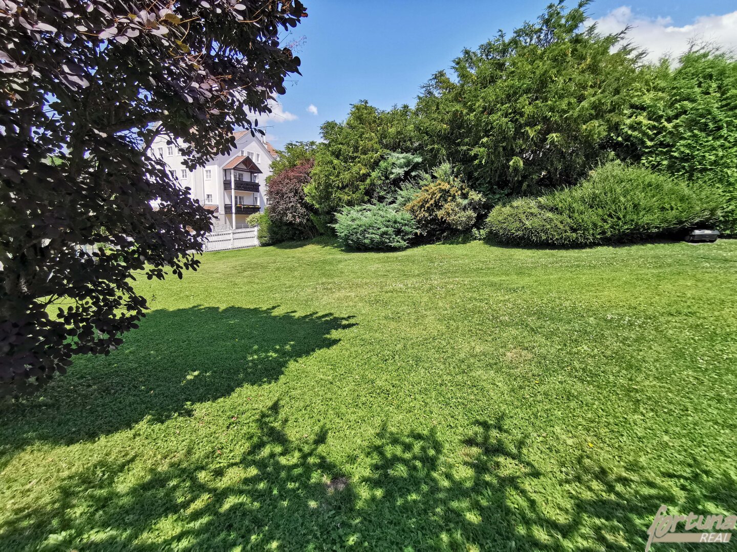 Immobilienfoto