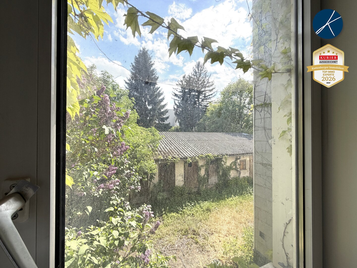 Immobilienfoto