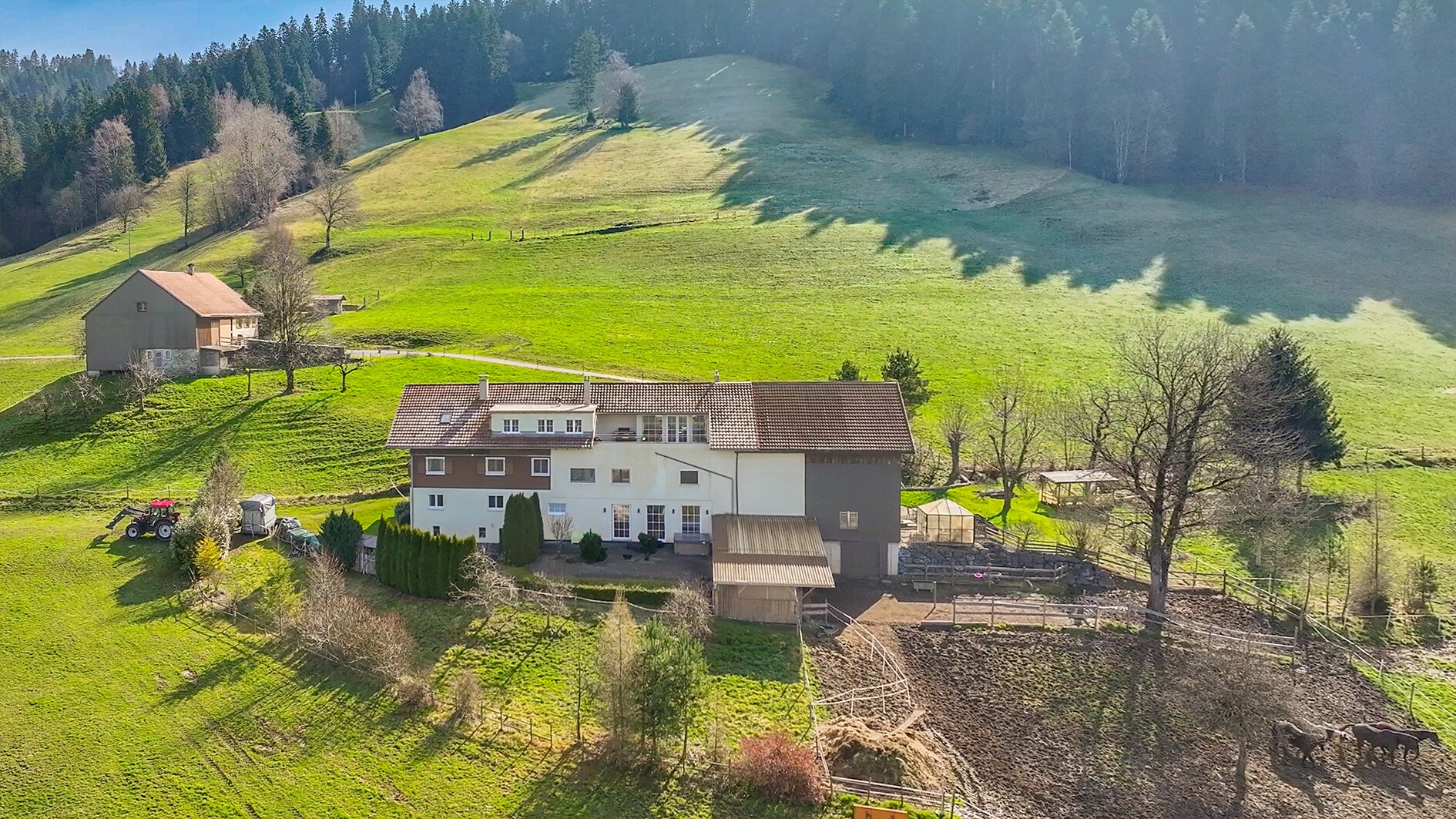Immobilienfoto