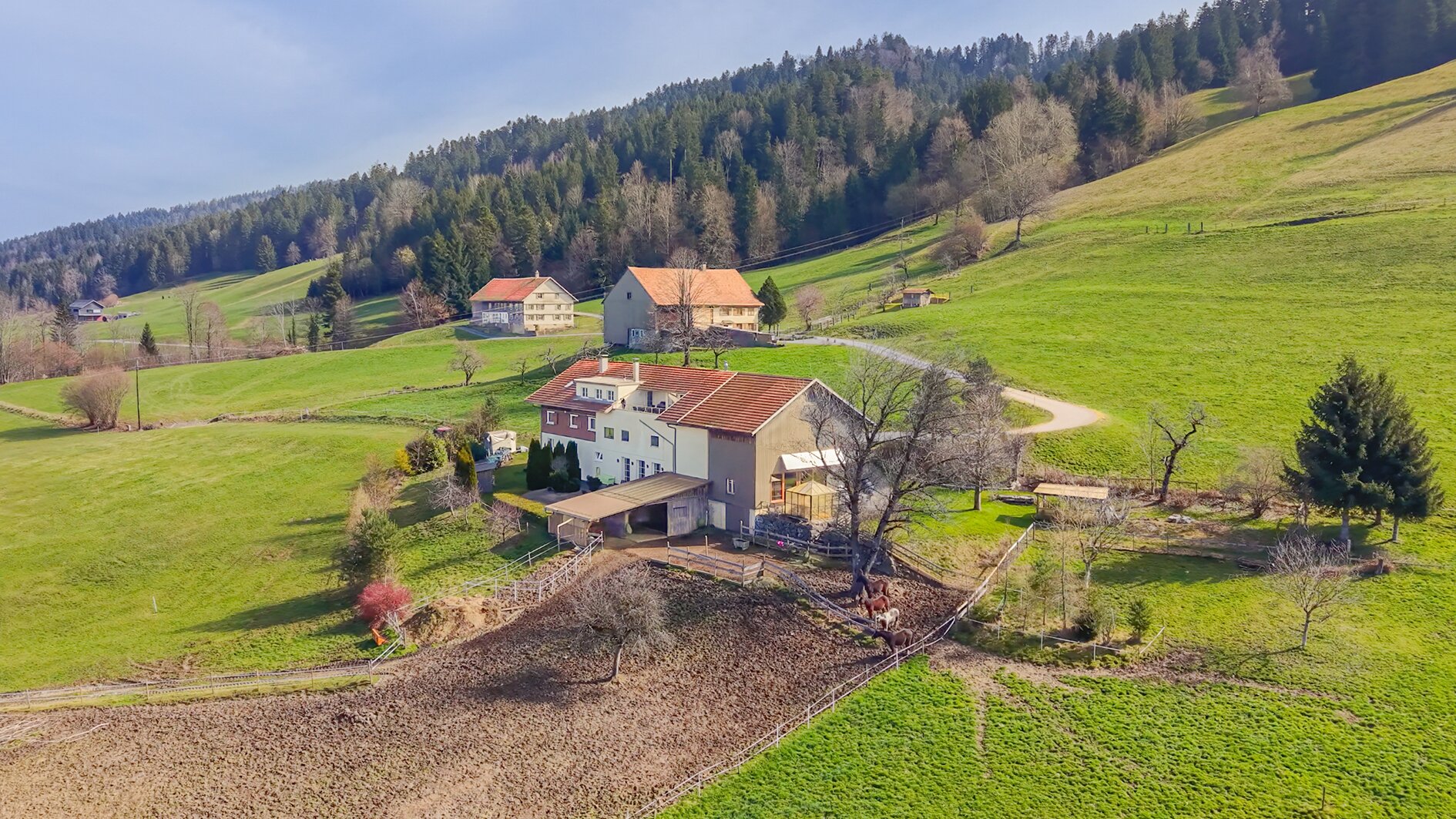 Immobilienfoto