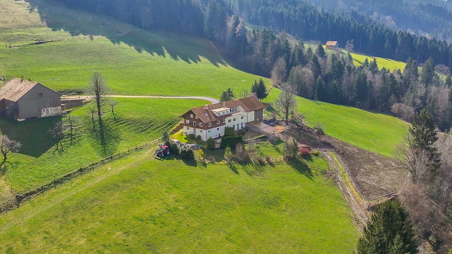 Immobilienfoto