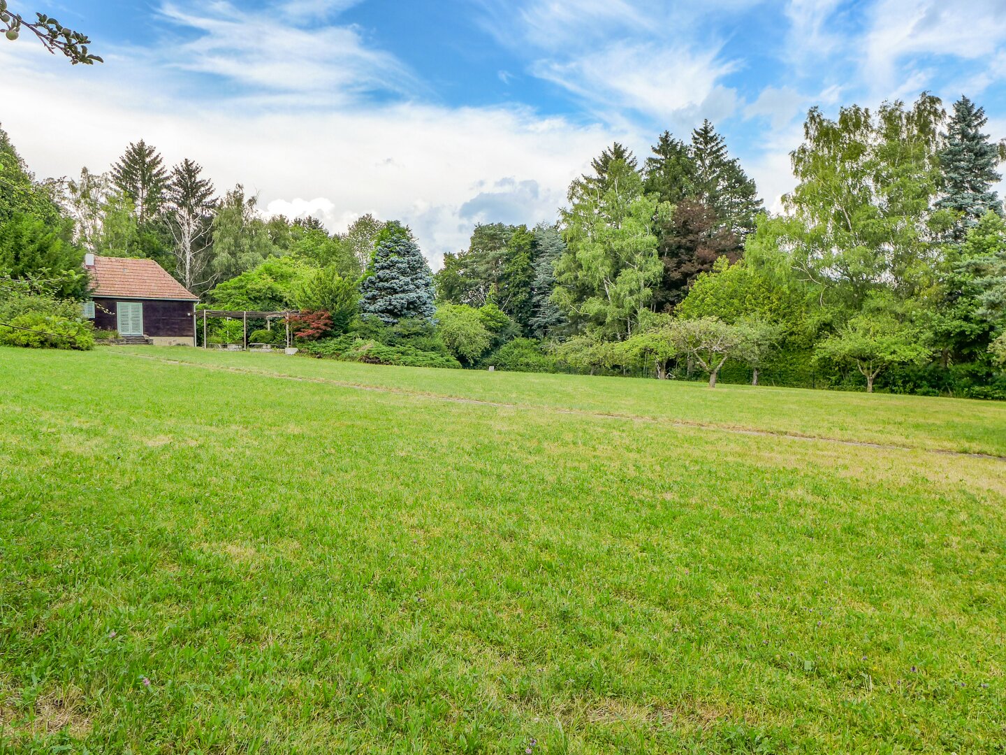 Immobilienfoto