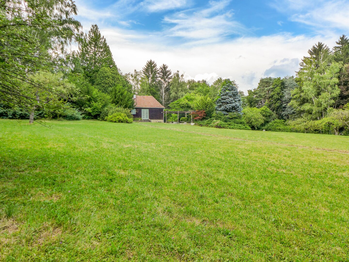 Immobilienfoto