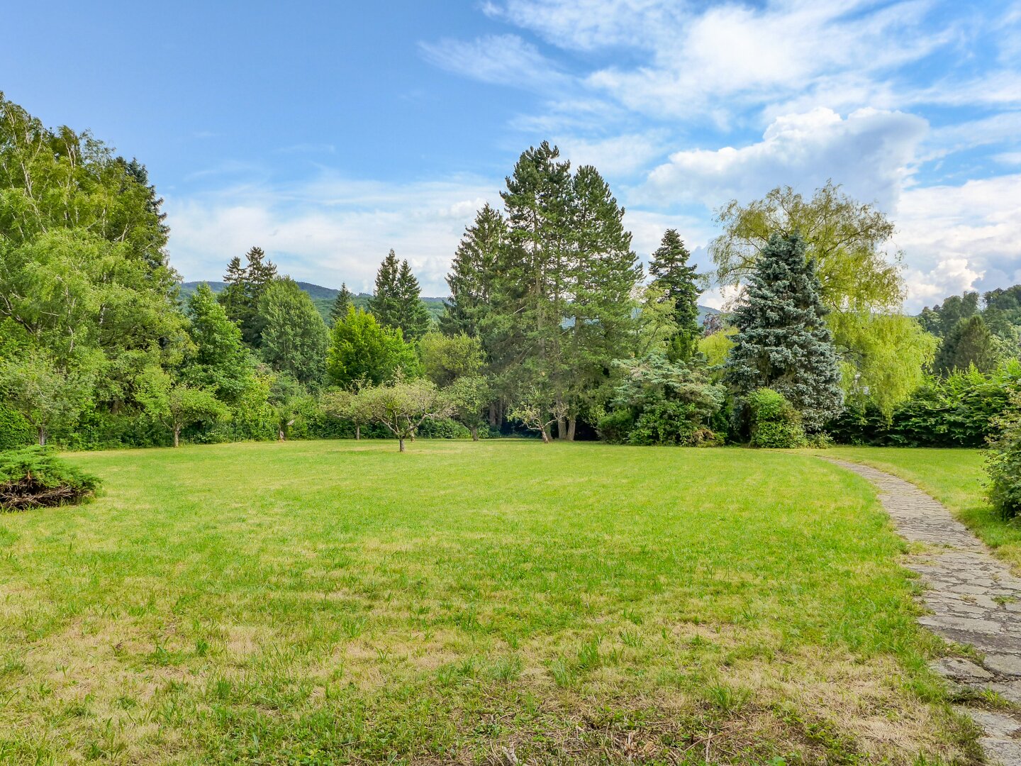 Immobilienfoto