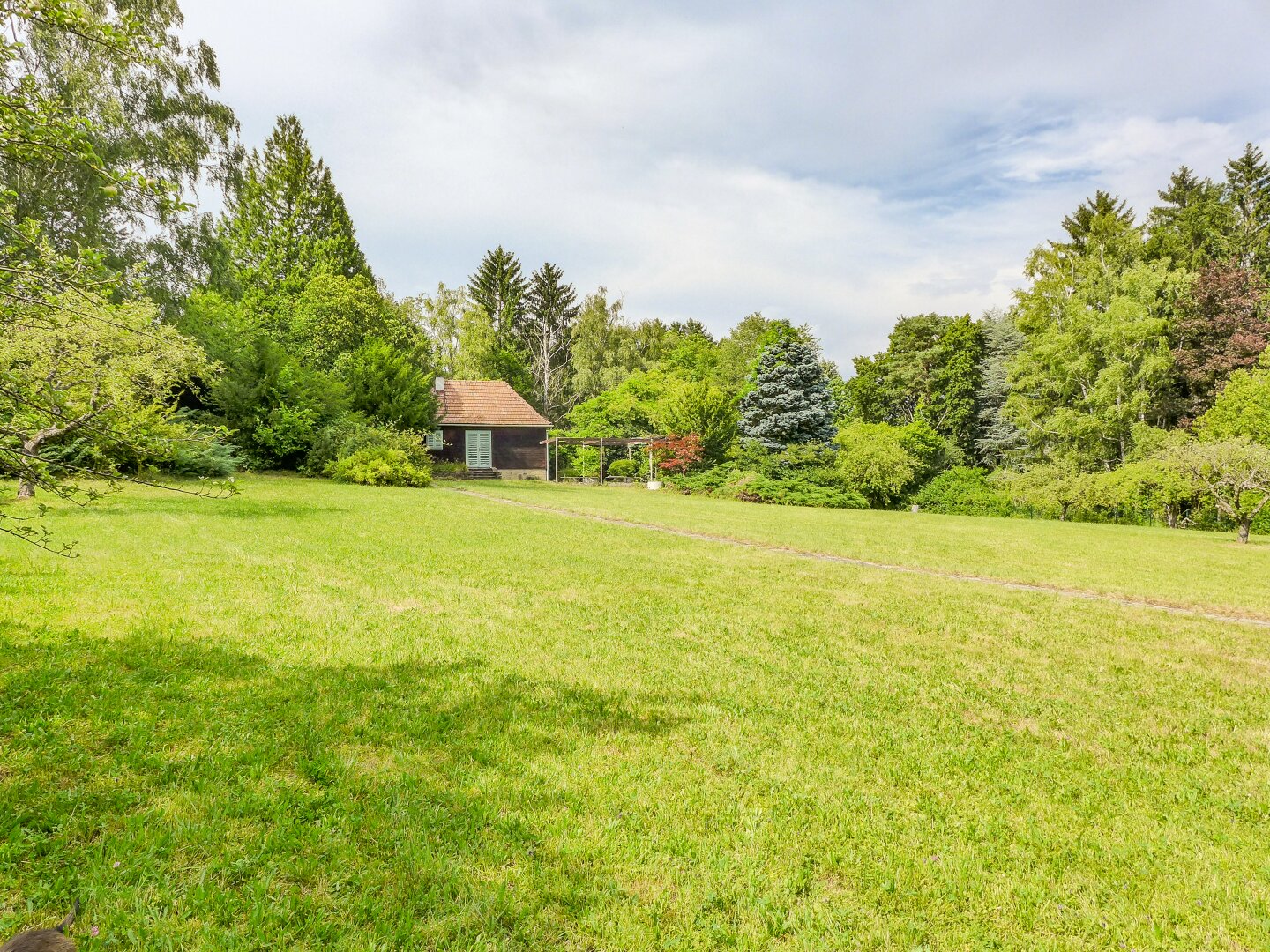 Immobilienfoto