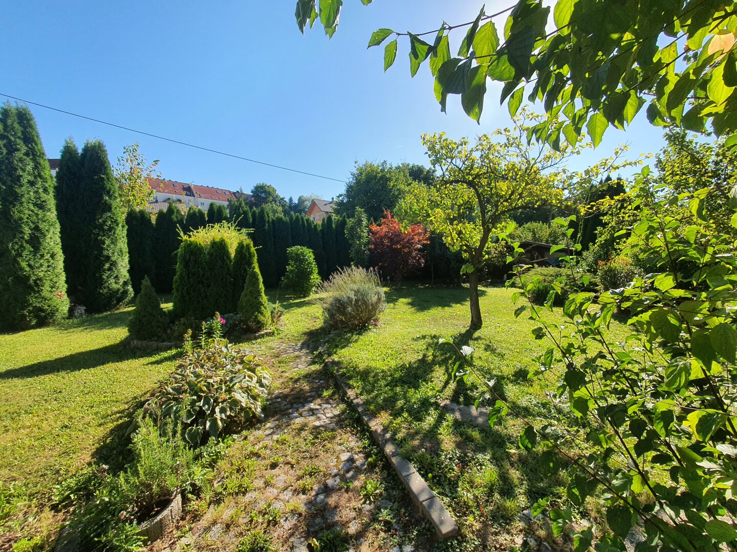 Immobilienfoto