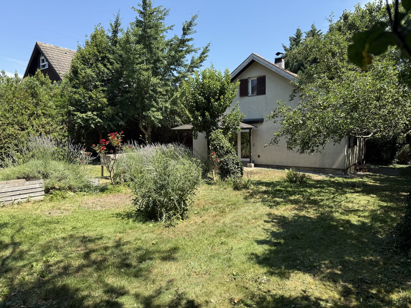 Immobilienfoto