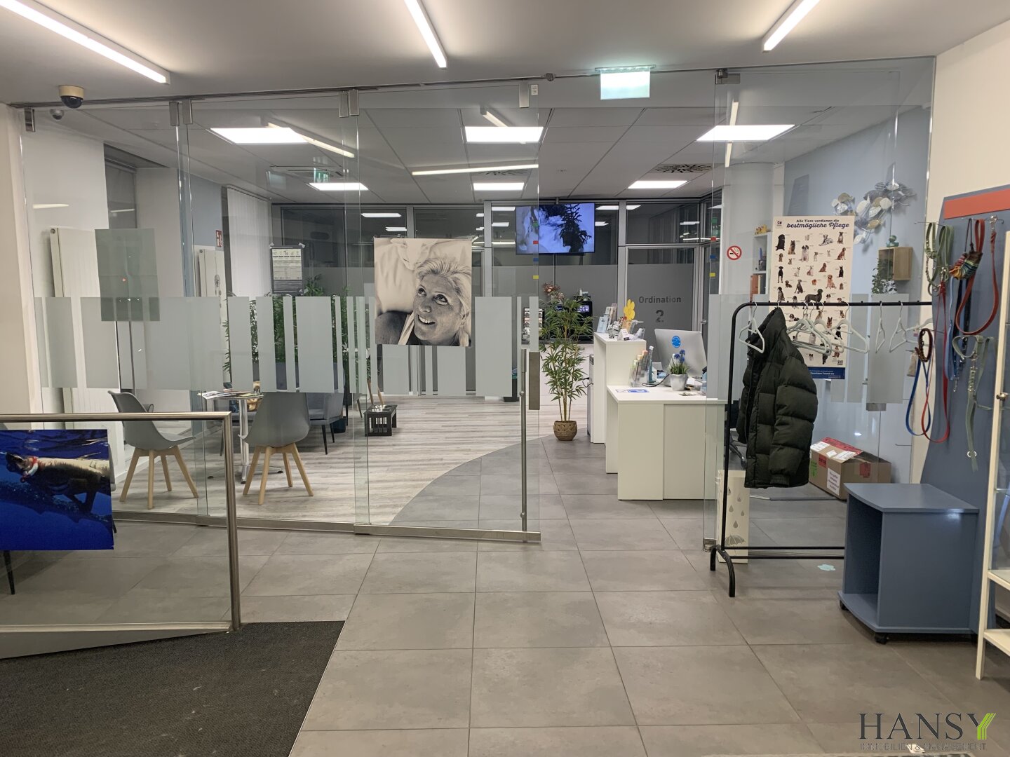 Großzügiges Büro mit 8 Zimmern, seniorengerecht, top Lage in 2540 Bad Vöslau!