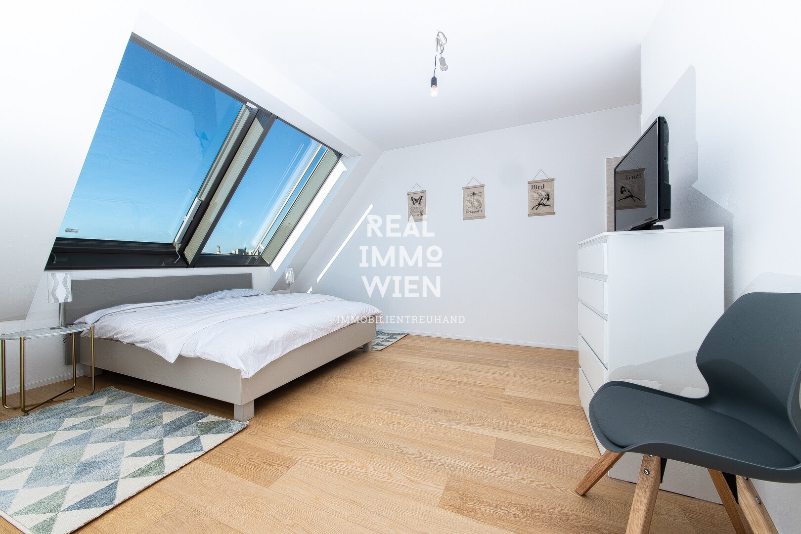 Immobilienfoto