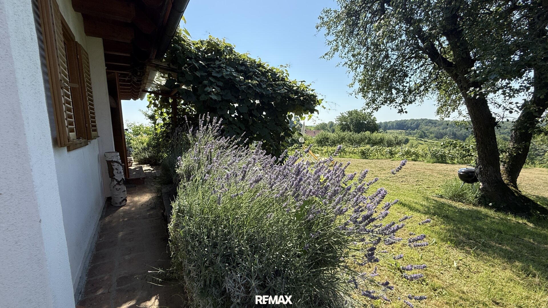 Immobilienfoto