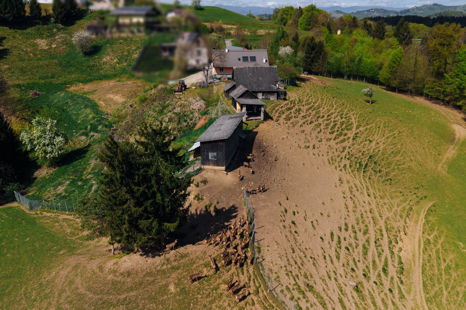 Immobilienfoto