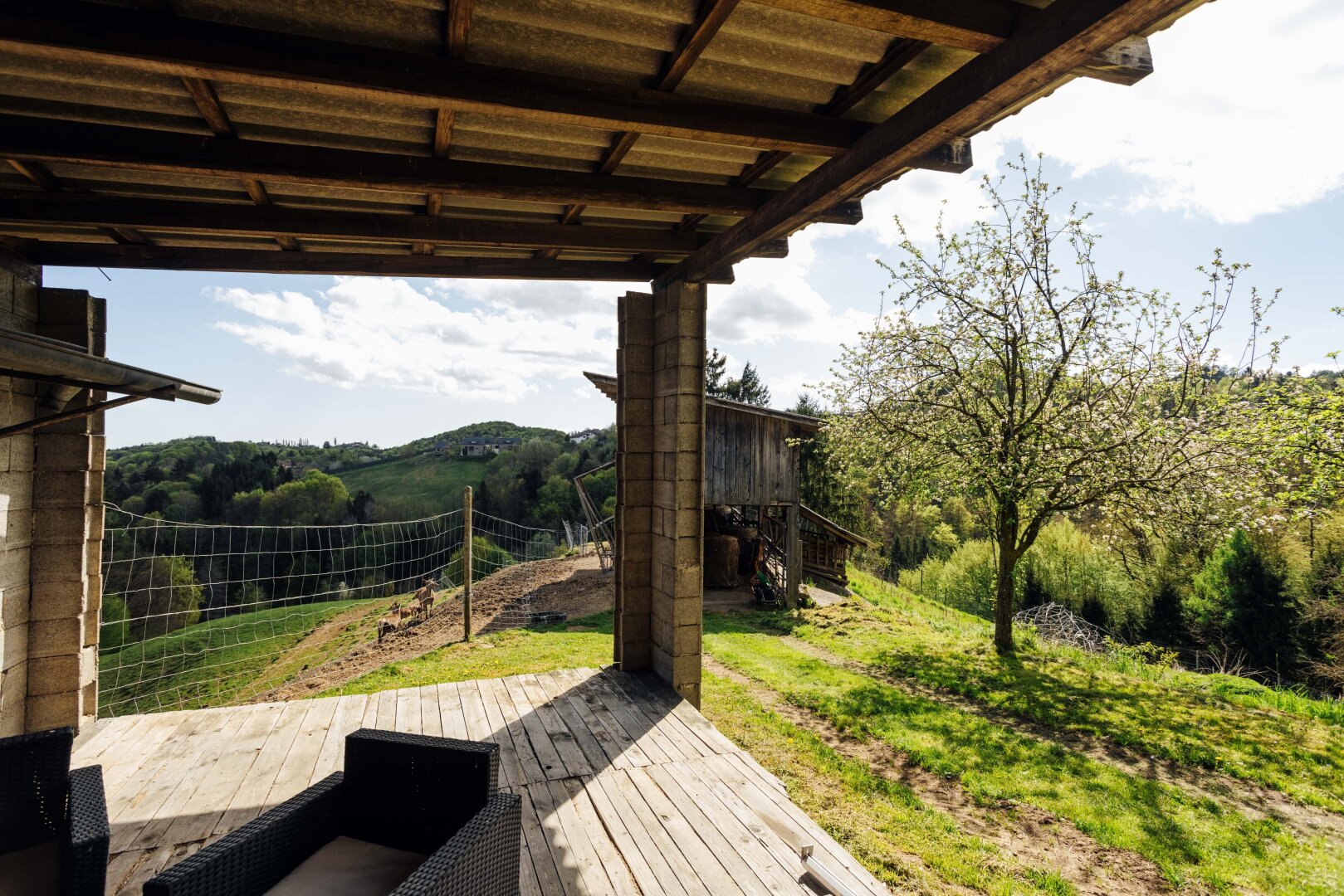 Immobilienfoto