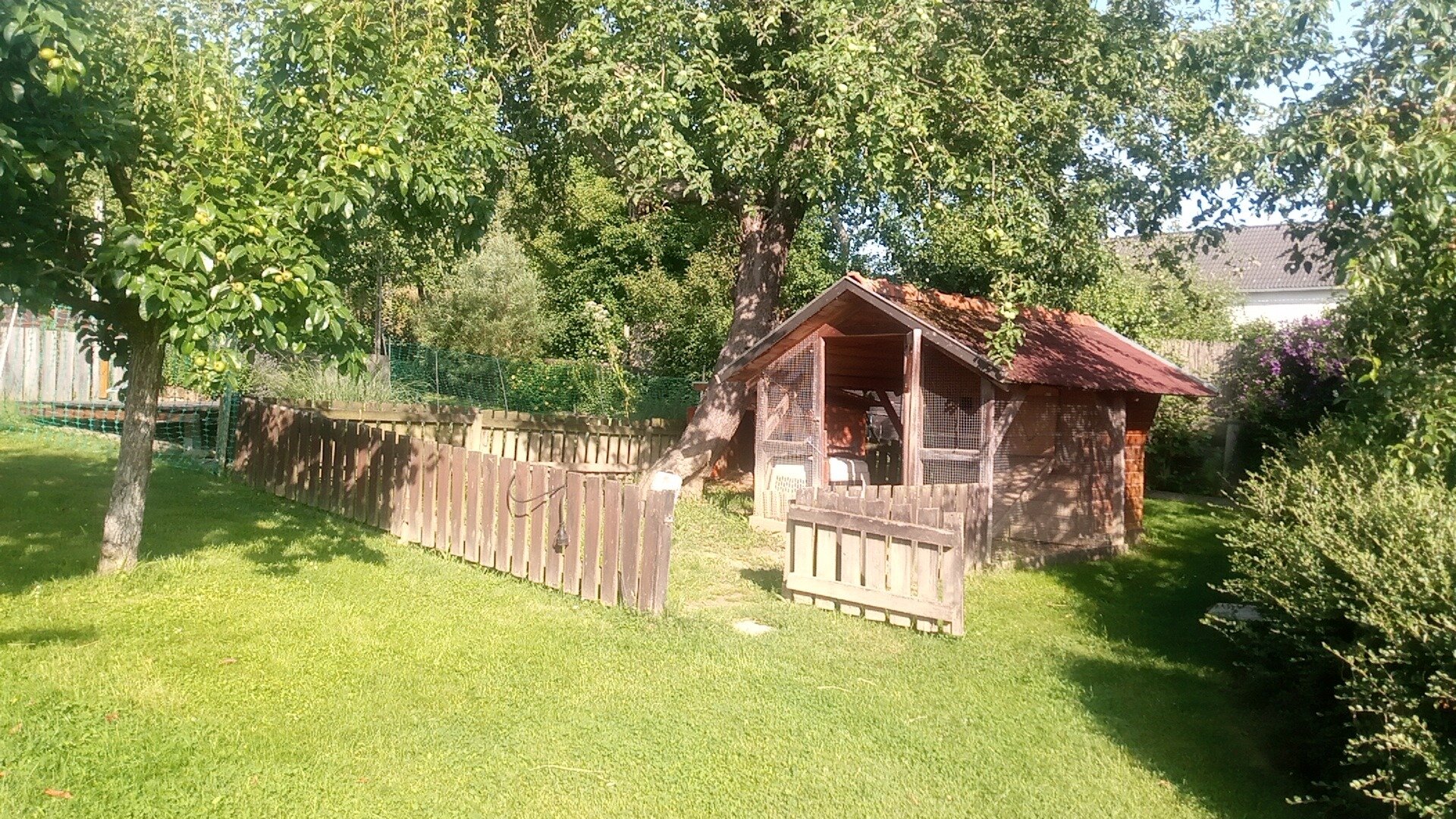 Immobilienfoto