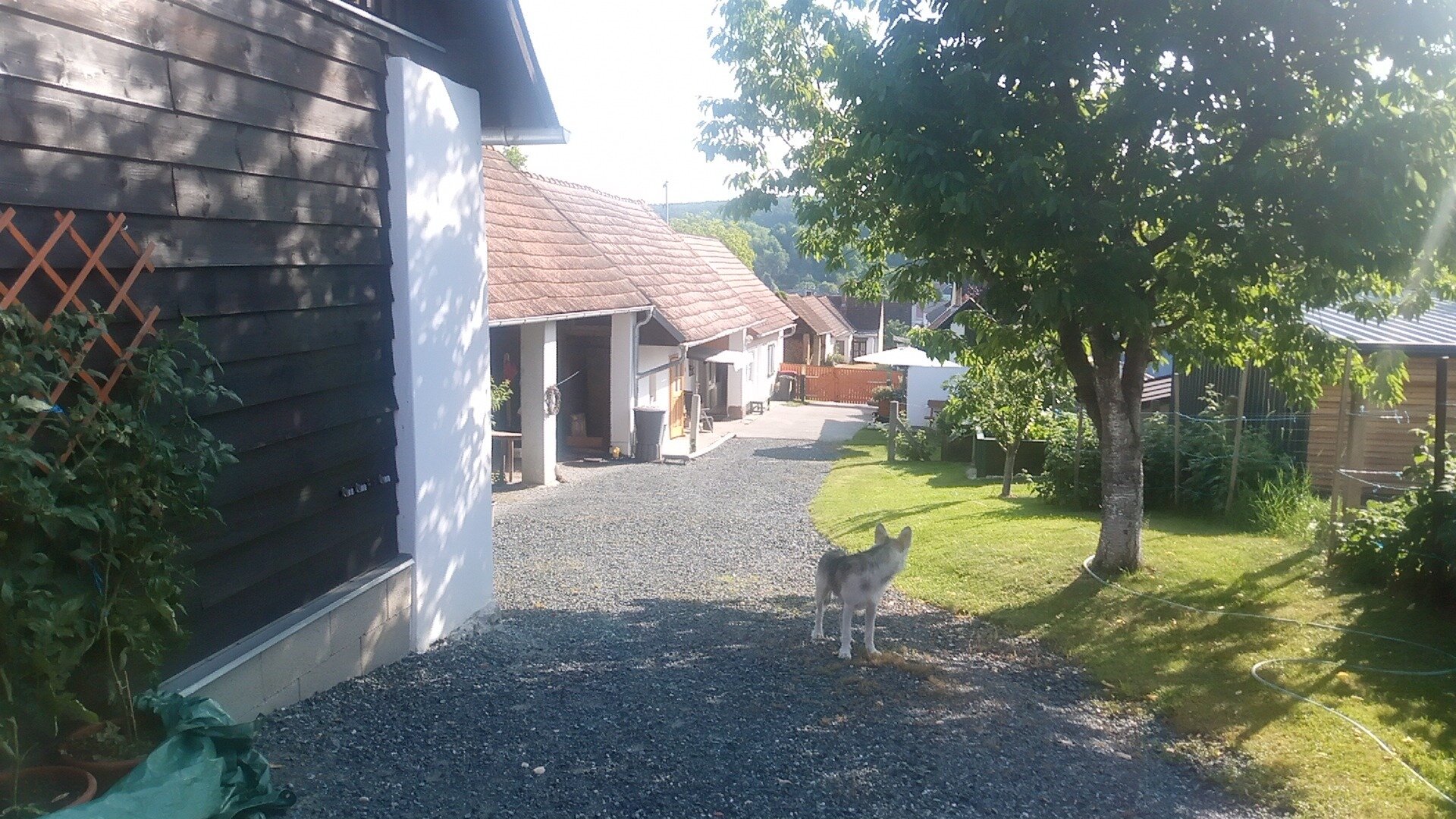 Immobilienfoto