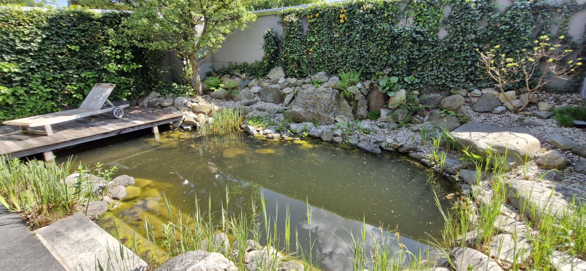 Immobilienfoto