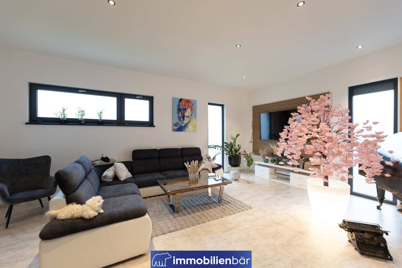 Immobilienfoto