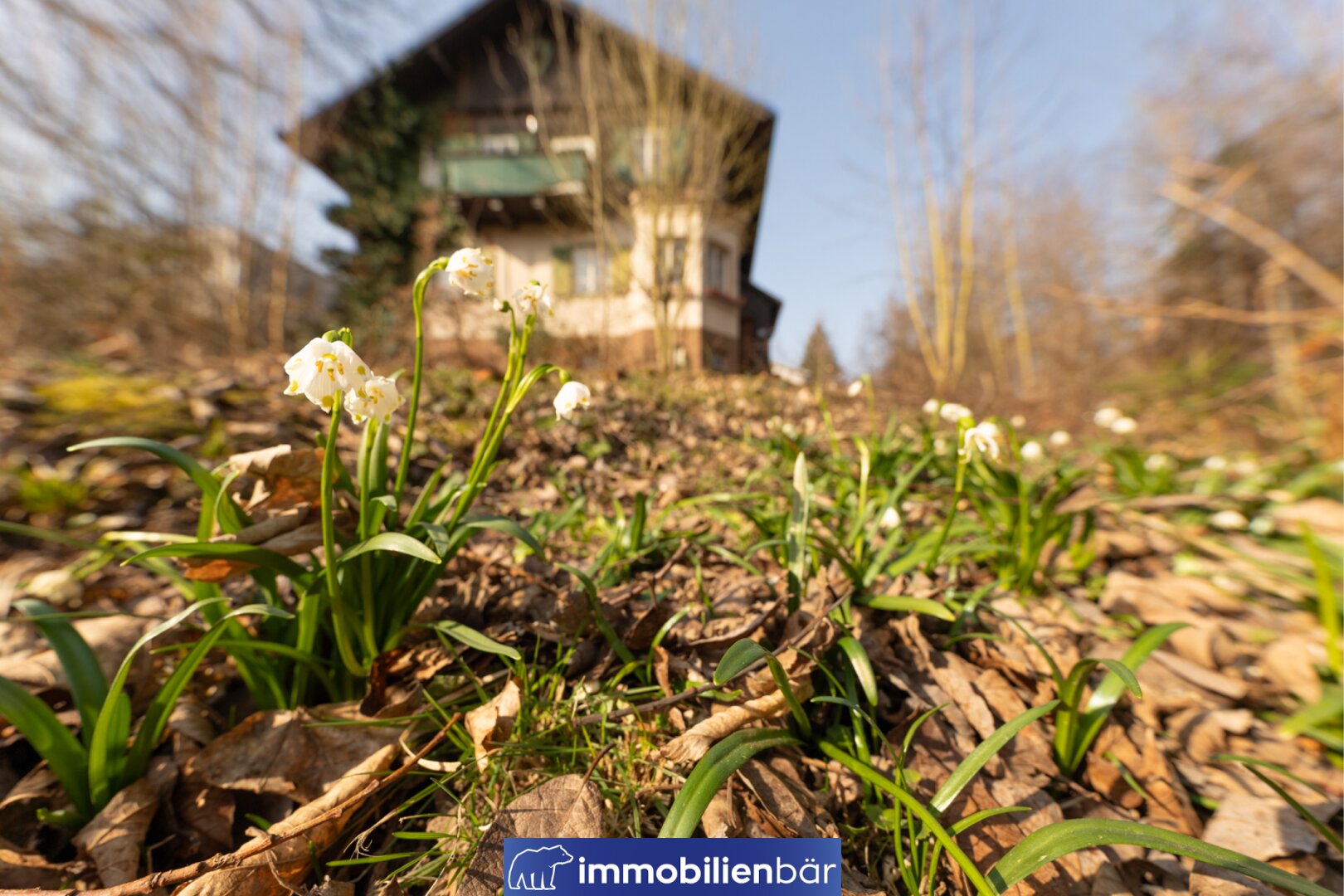 Immobilienfoto