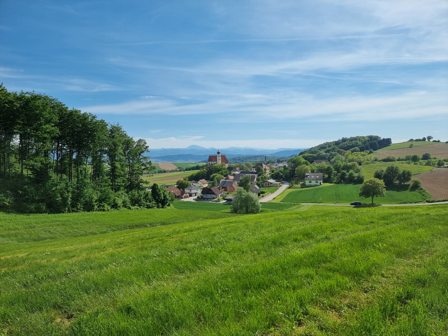 Exklusive Agrarflächen im Dunkelsteinerwald