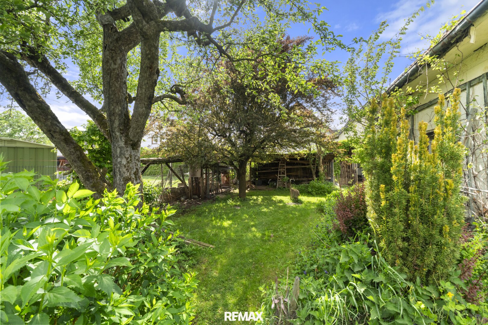 Immobilienfoto