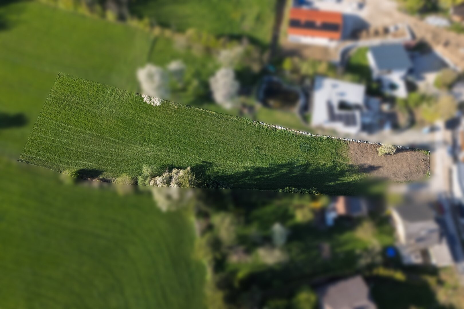 Immobilienfoto