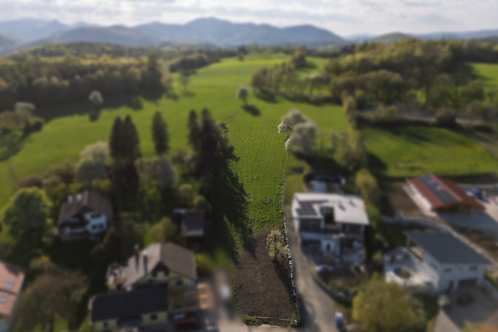 Immobilienfoto