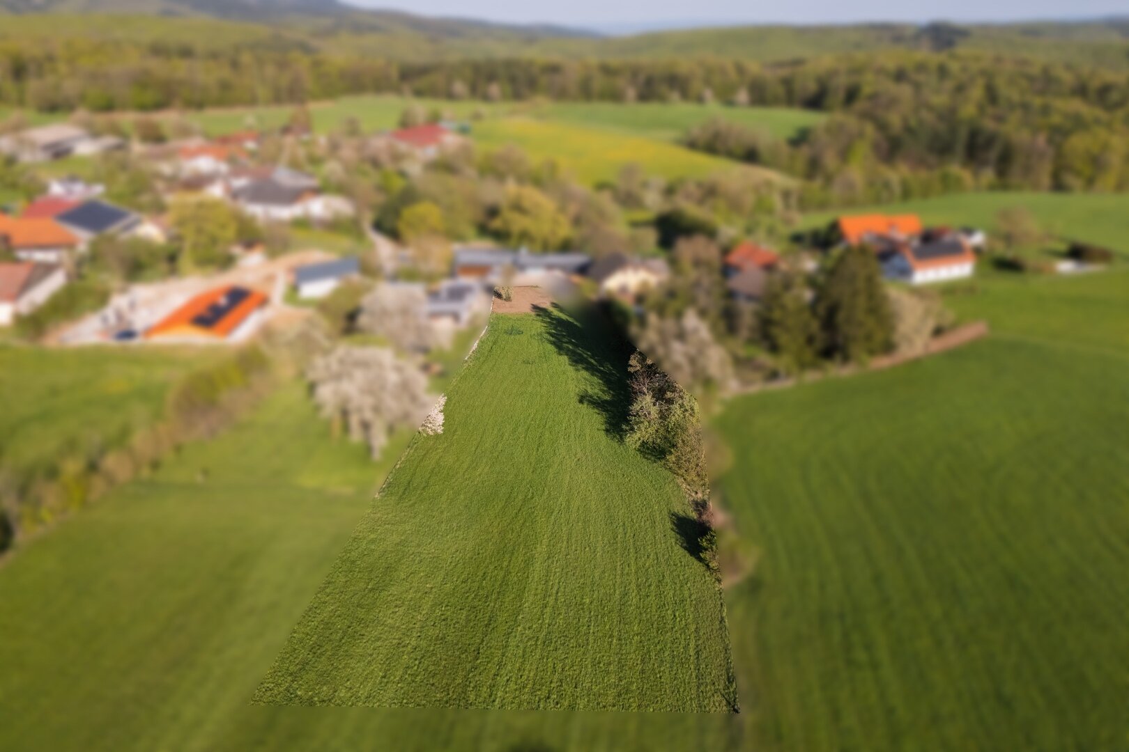 Immobilienfoto