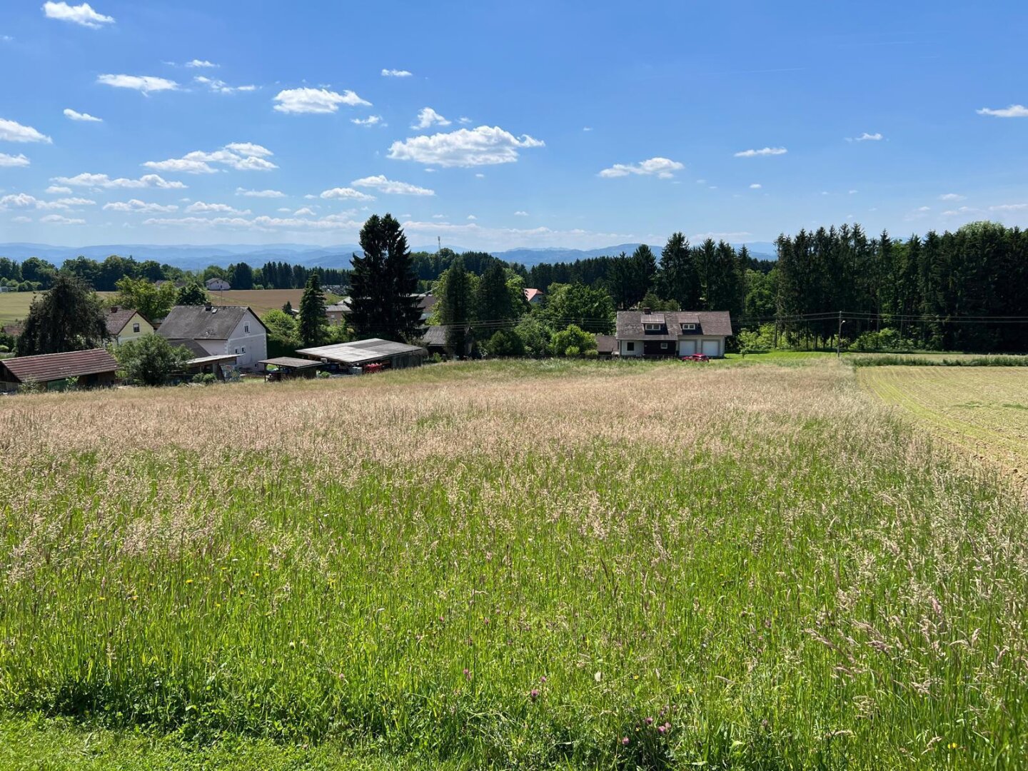 Zauberhaftes Baugrundstück für Bauträger - Teilung möglich!