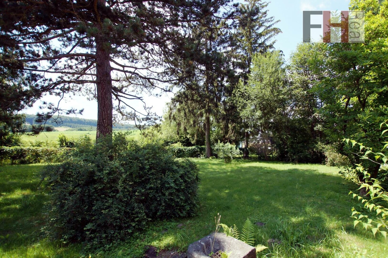 Immobilienfoto