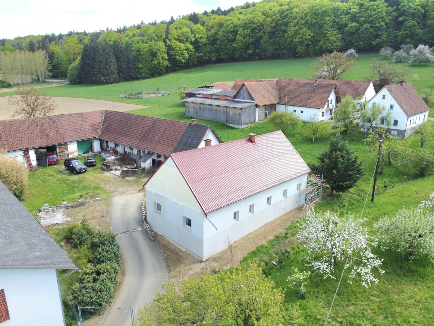 Immobilienfoto