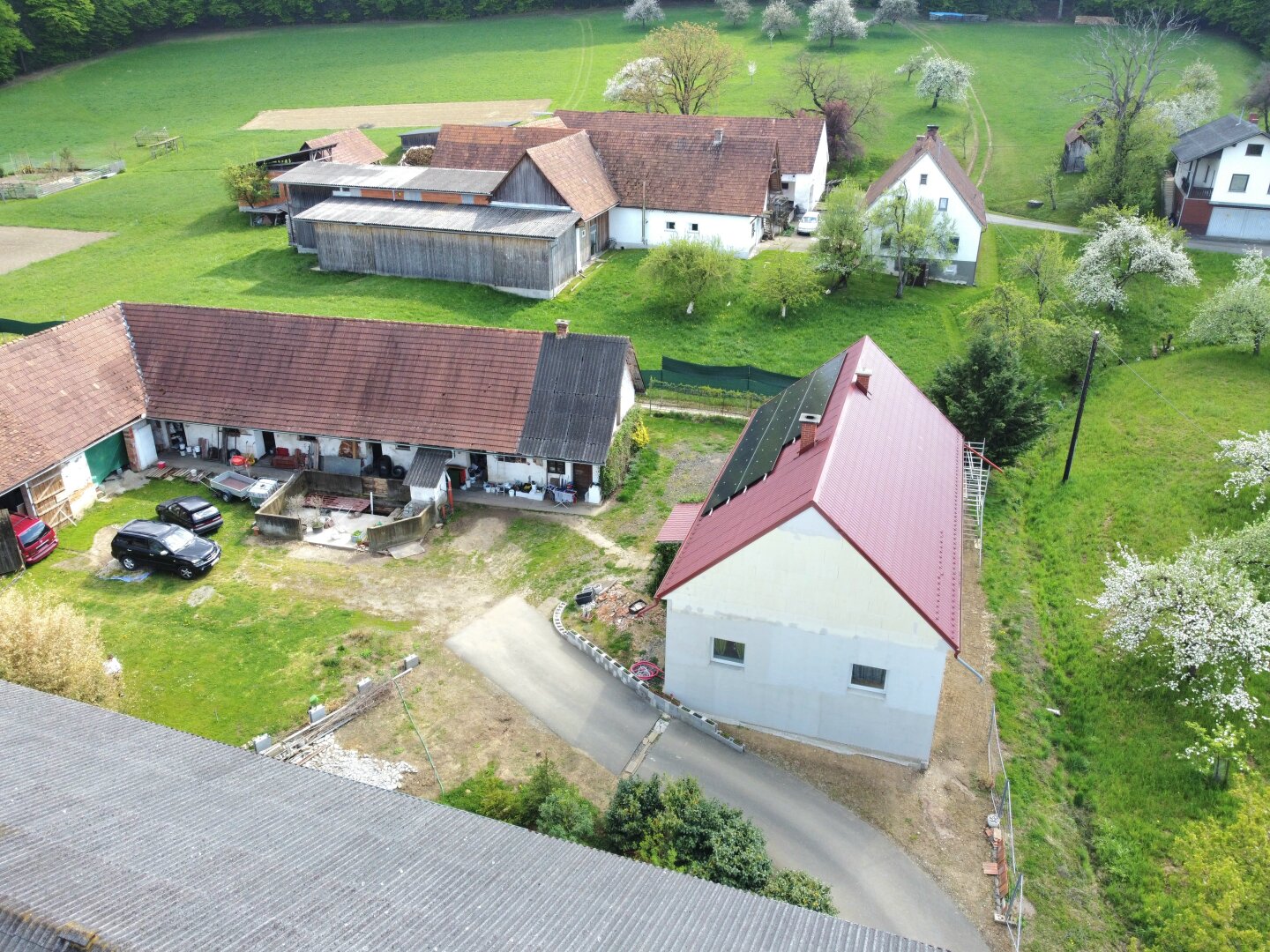Immobilienfoto