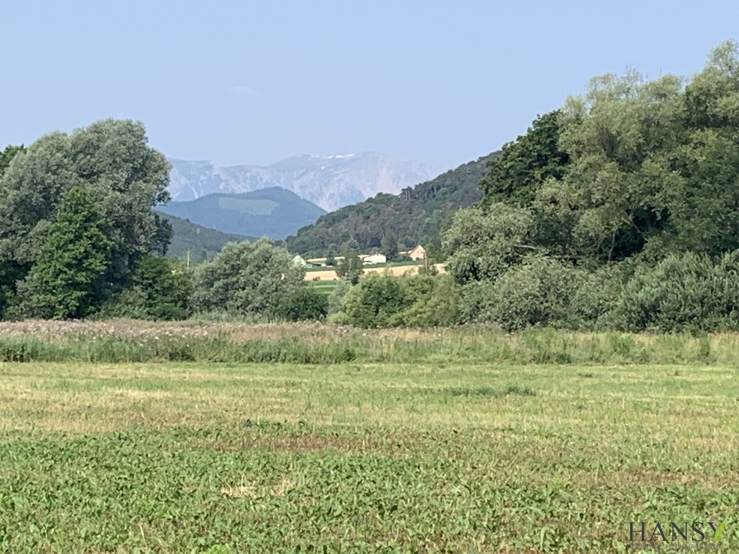 Großes Land- und Forstwirtschaftsgrundstück in Willendorf mit ertragreichem Boden