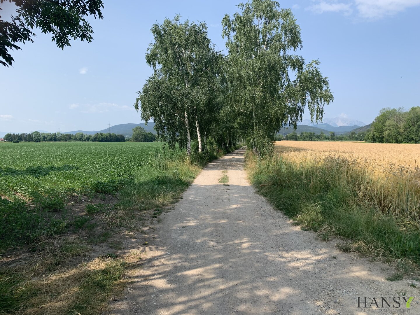 Immobilienfoto